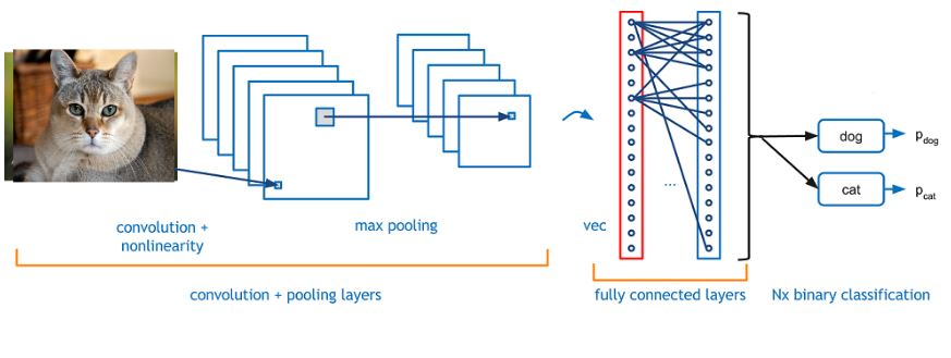 Tensorflow классификация изображений