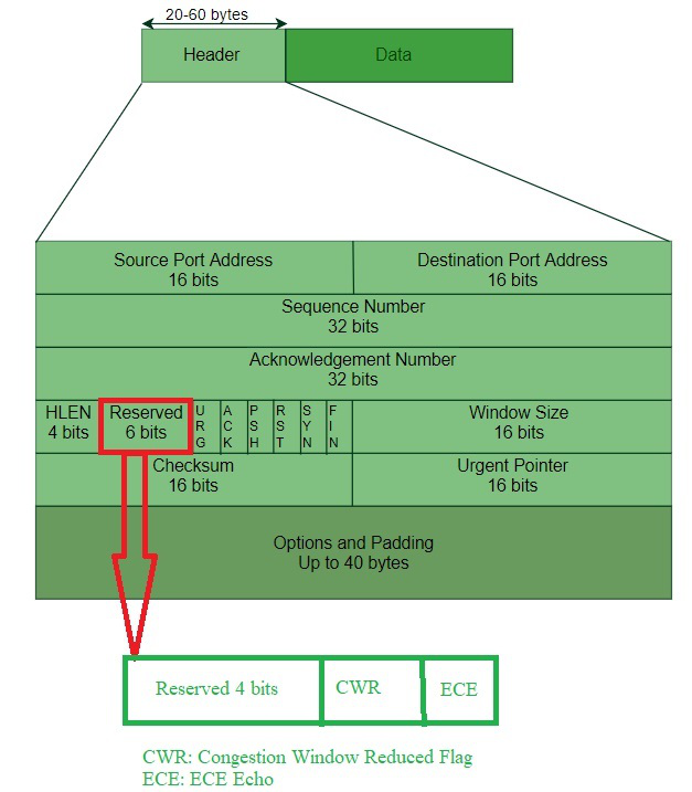 Size tcp. TCP сегмент. Максимальный размер данных TCP. Структура сегмент udp. Максимальный размер TCP сегмента.