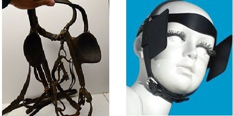 Изображение 706